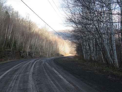 To the light- Melanie's pic