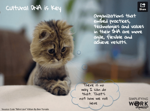 Screenshot 2014-05-21 21.05.24