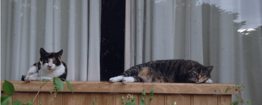 screenshot-www.icloud.com 2015-06-26 23-10-13